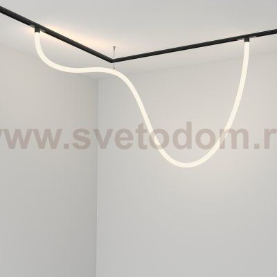 Трековый подвесной светильник Maytoni TR101-2-50W4K-B Tau