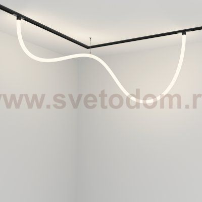 Трековый подвесной светильник Maytoni TR101-2-50W4K-B Tau