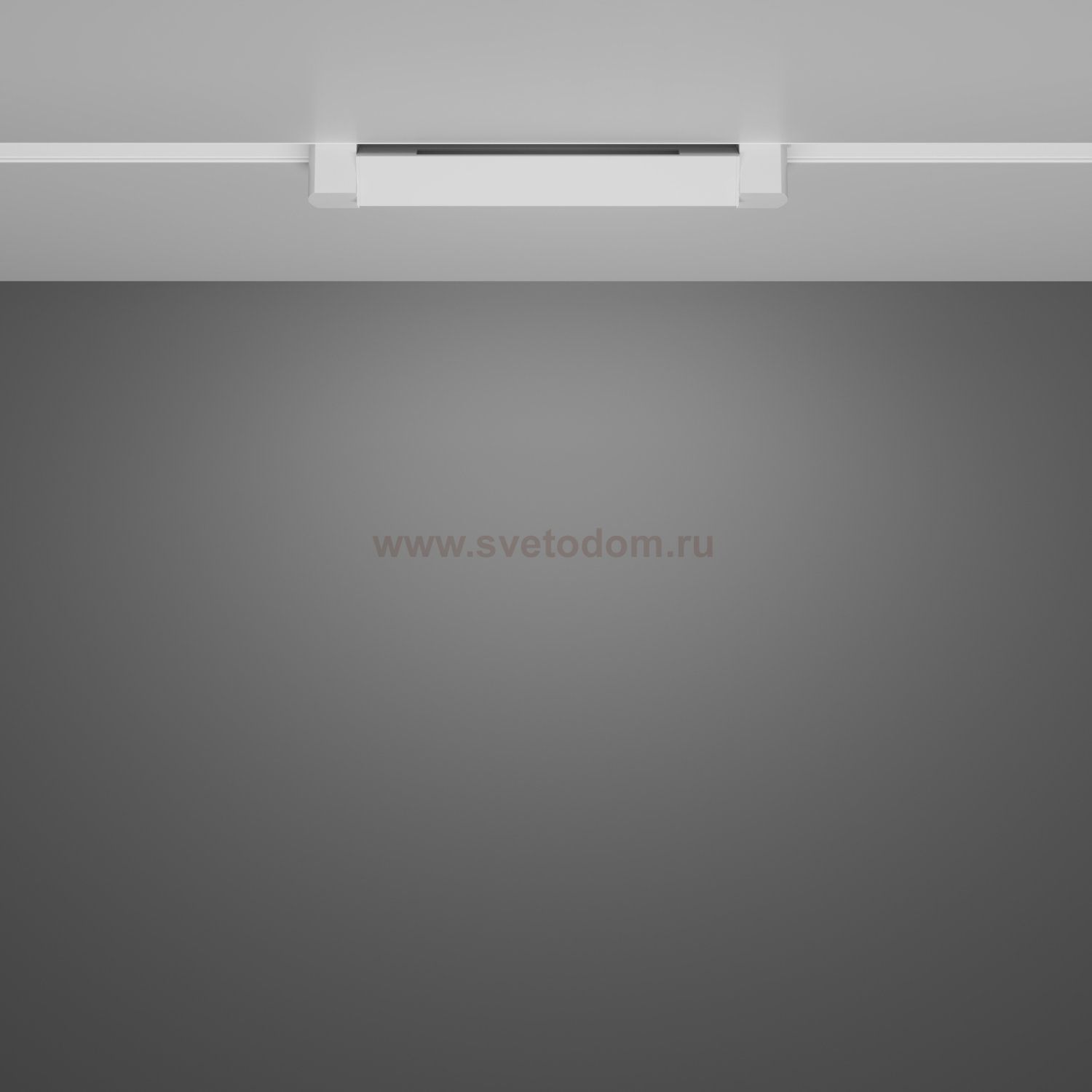 Трековый светильник Maytoni TR104-1-10W4K-W Basis Rot