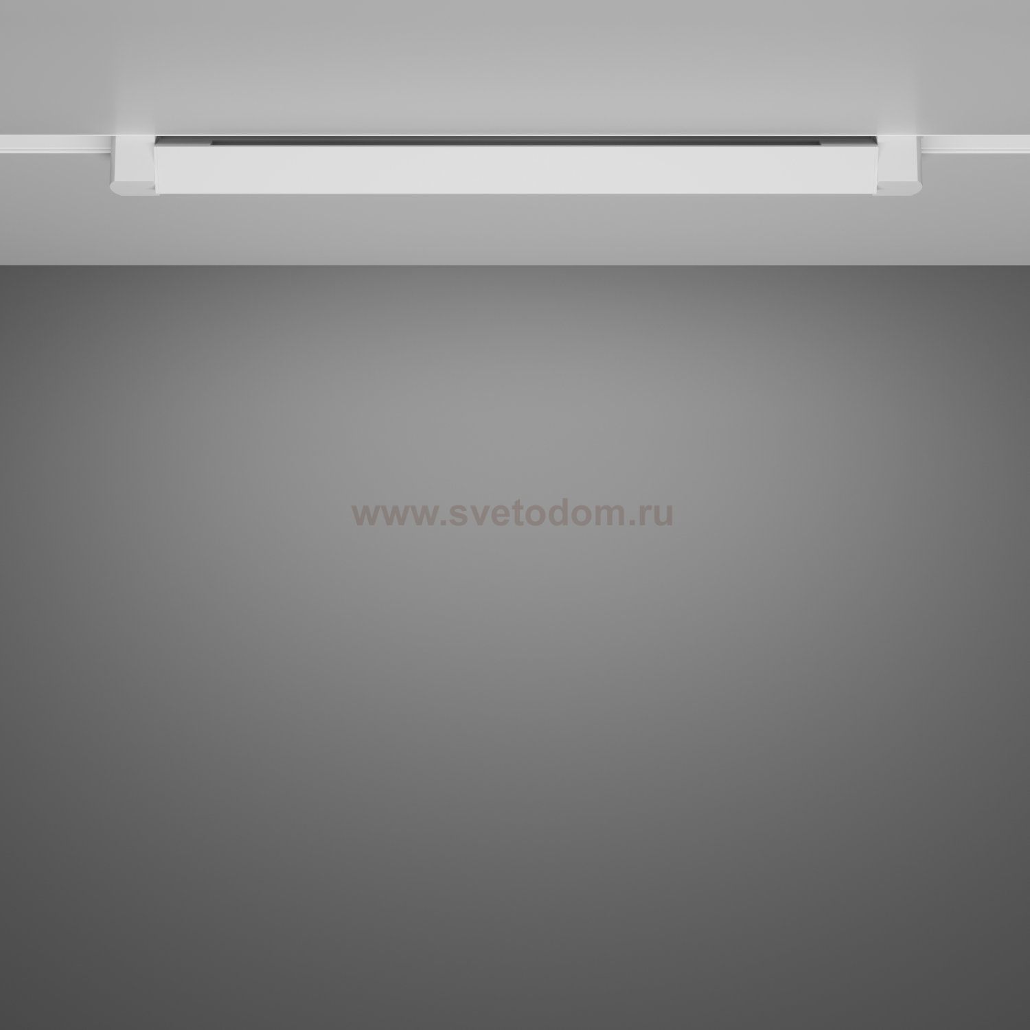 Трековый светильник Maytoni TR104-1-20W3K-W Basis Rot