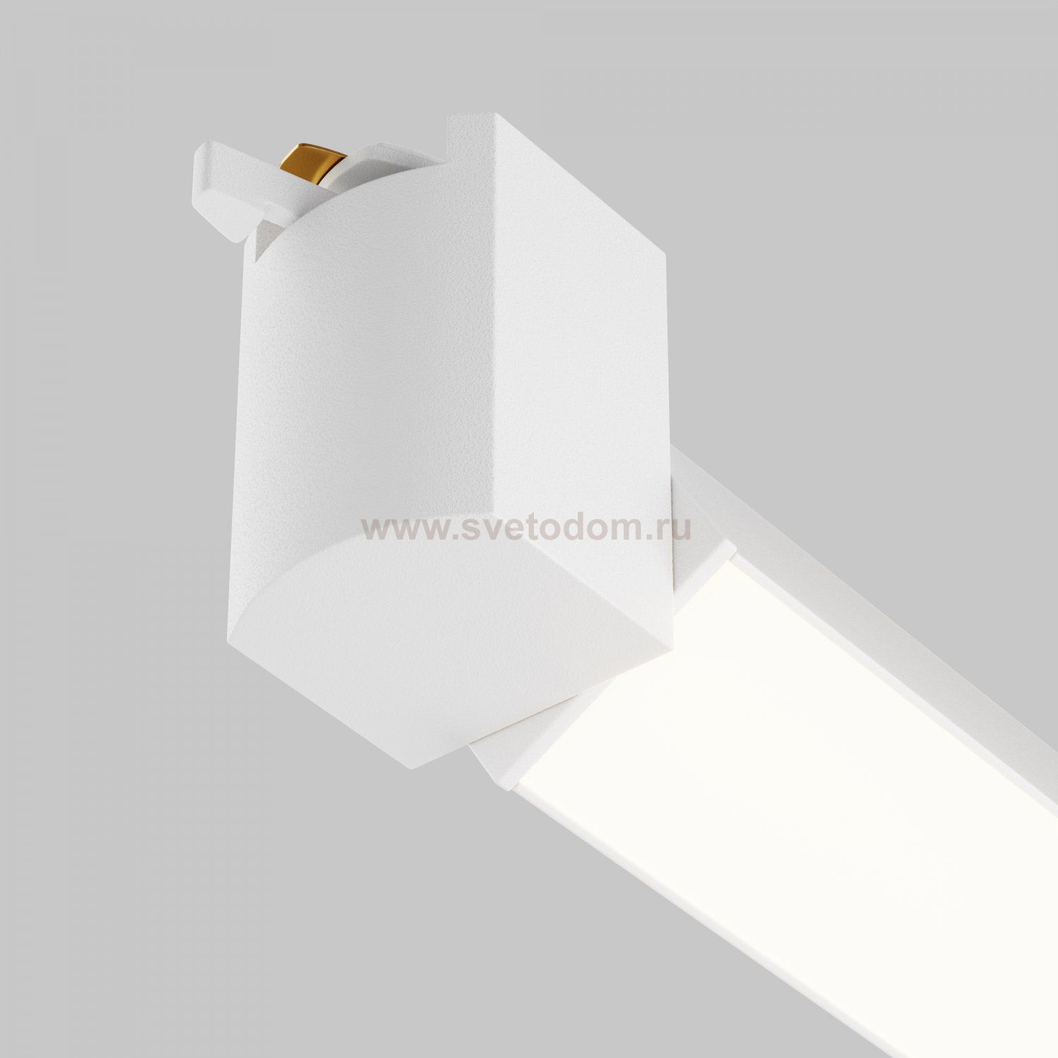 Трековый светильник Maytoni TR104-1-20W3K-W Basis Rot