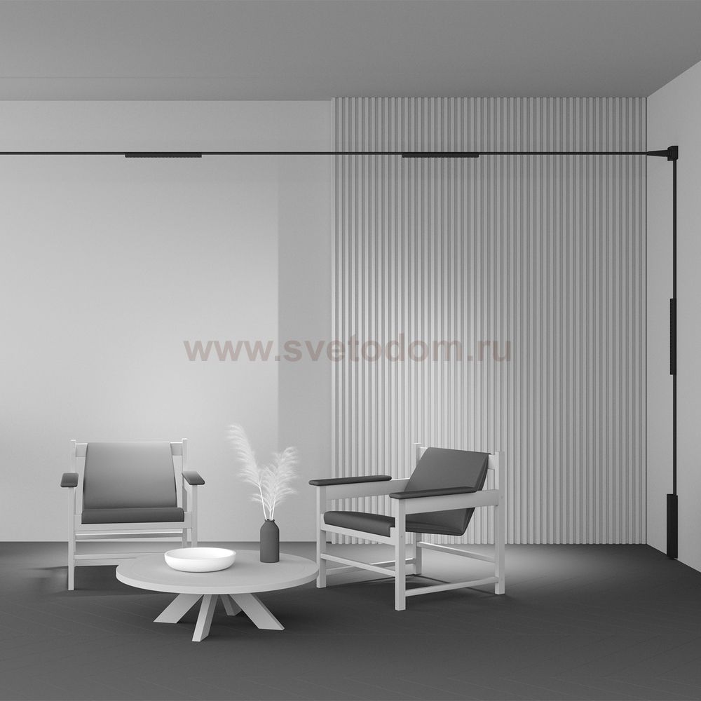 Трековый светильник Maytoni TR162-1-18W3K-M-B Points