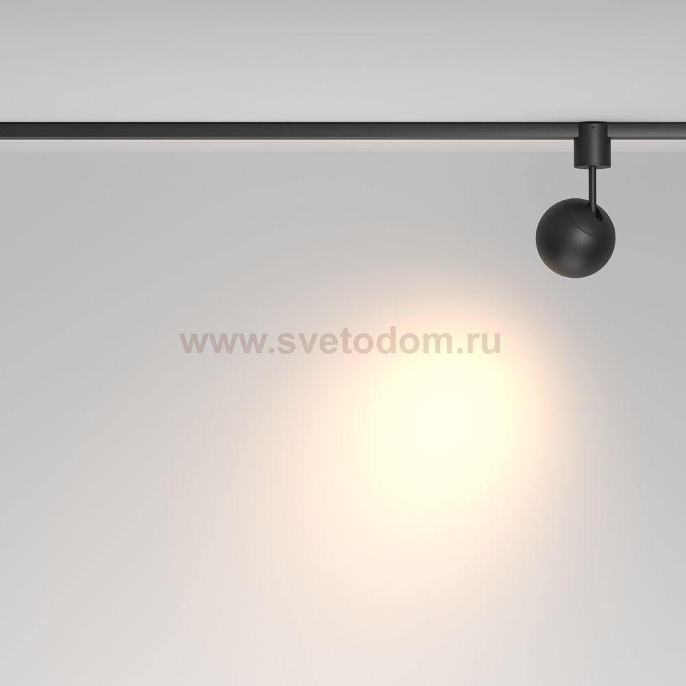 Трековый светильник Maytoni TR164-1-8W3K-M-B Sfera