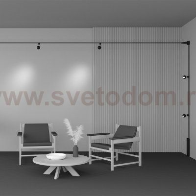 Трековый светильник Maytoni TR164-1-8W3K-M-B Sfera