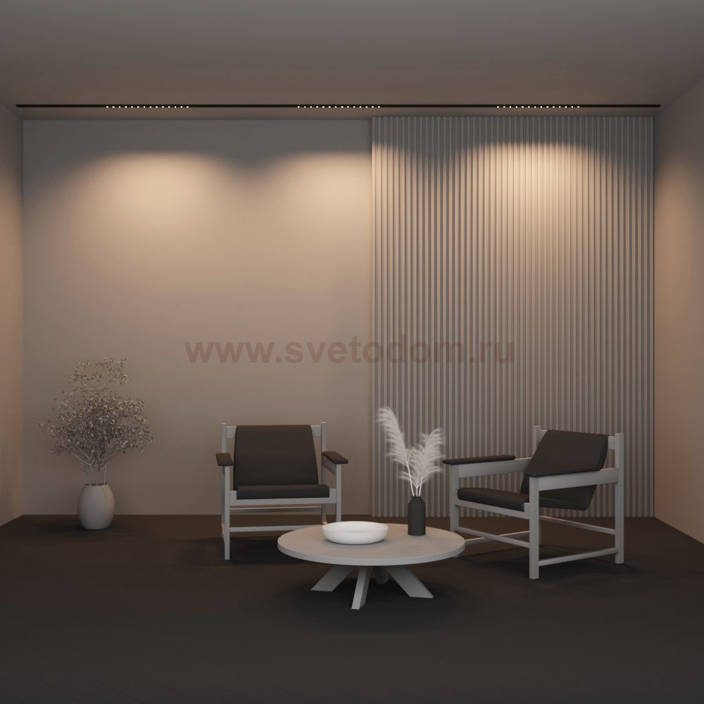 Трековый светильник Maytoni TR174-1-24WTW-M-B Points