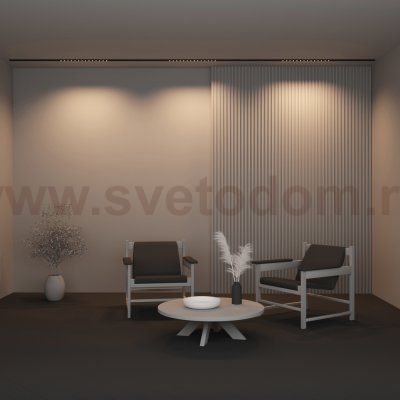 Трековый светильник Maytoni TR174-1-24WTW-M-B Points