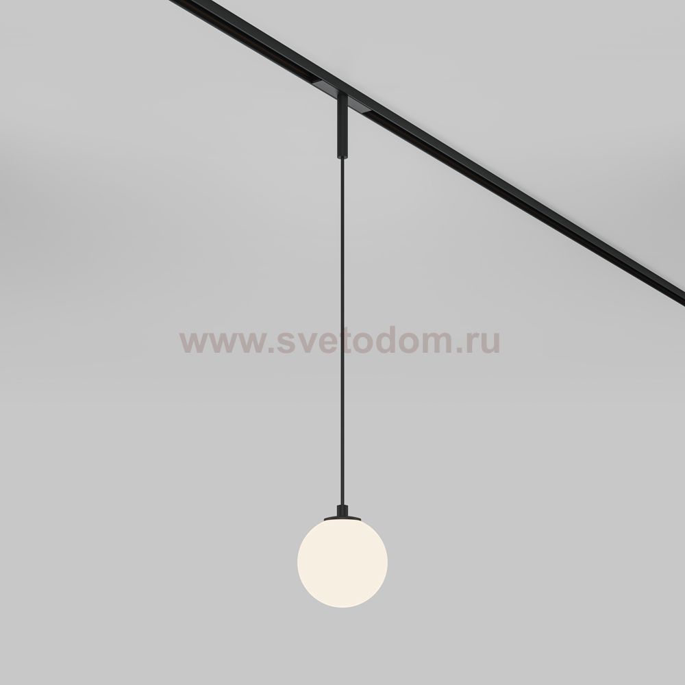 Трековый подвесной светильник Maytoni TR178-1-5WTW-B Luna