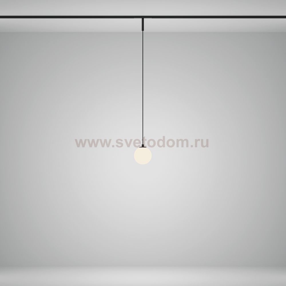 Трековый подвесной светильник Maytoni TR178-1-5WTW-B Luna
