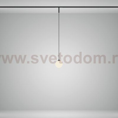 Трековый подвесной светильник Maytoni TR178-1-5WTW-B Luna