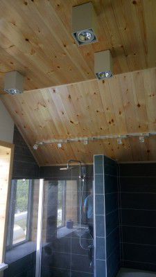 Светильник потолочный Arte lamp A5936PL-1BK CARDANI