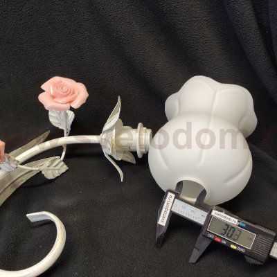 Светильник настенный с цветами Vitaluce V1685-0/2A