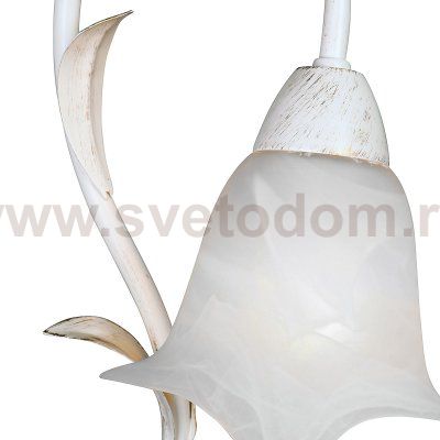 Светильник настенный Vitaluce V1850-0/1A, 1xE14 макс. 40Вт