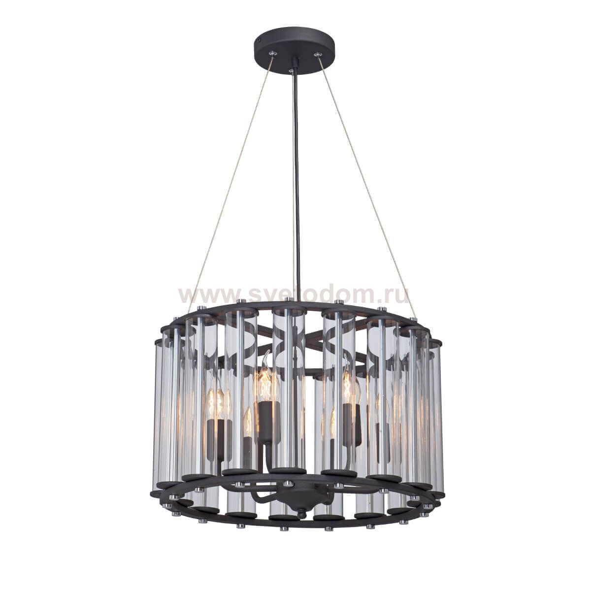 Vitaluce V5303-1/6PL