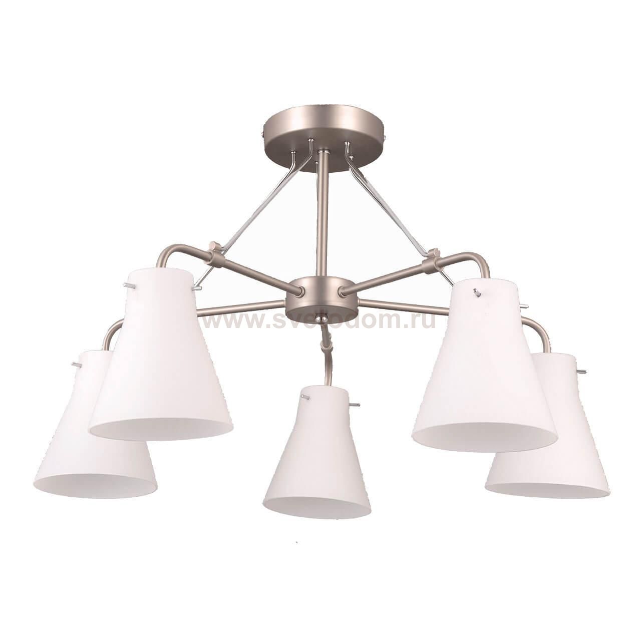 Потолочная люстра Vele Luce Fedele VL1365L05