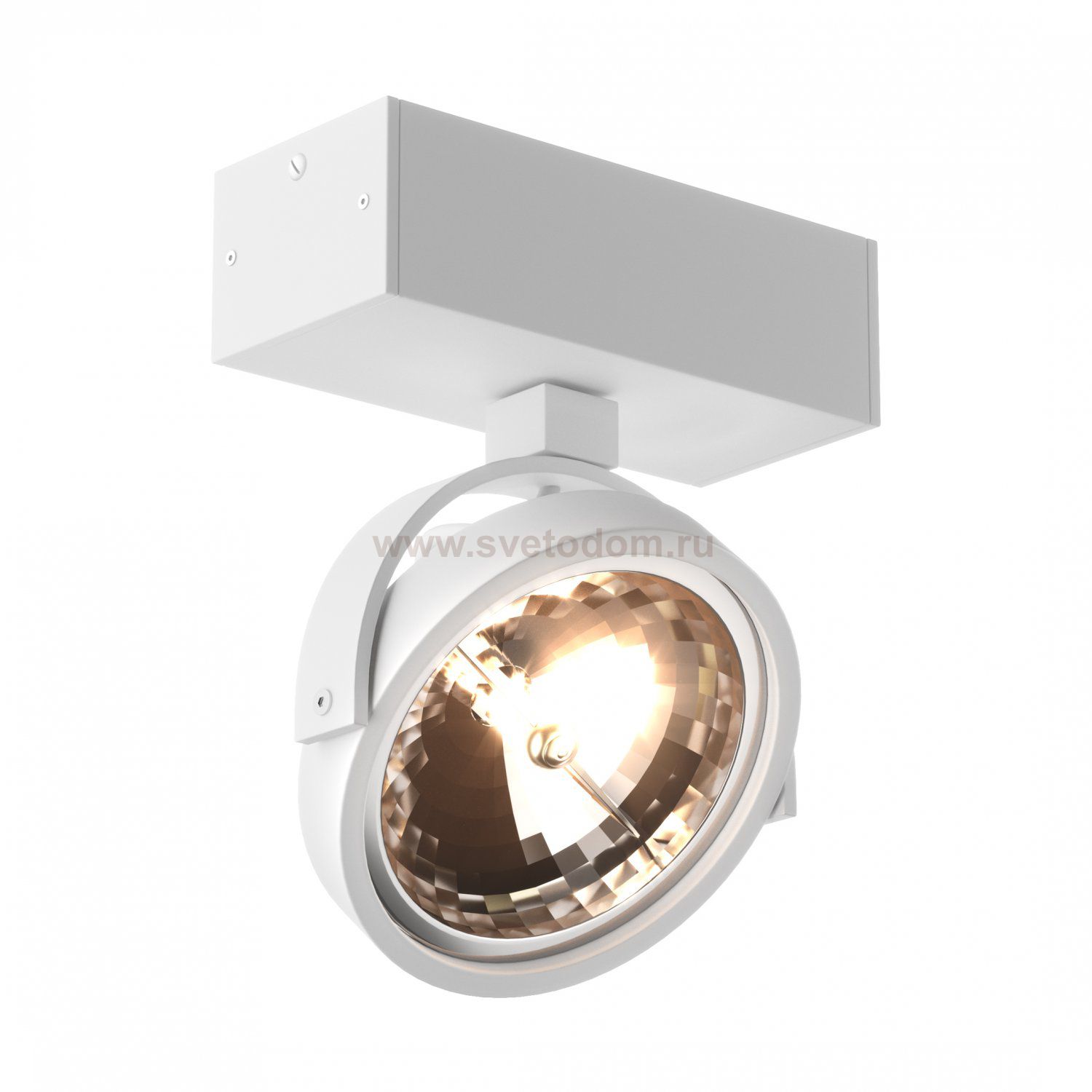 Потолочный светильник Zumaline GO SL 1 89962-G9