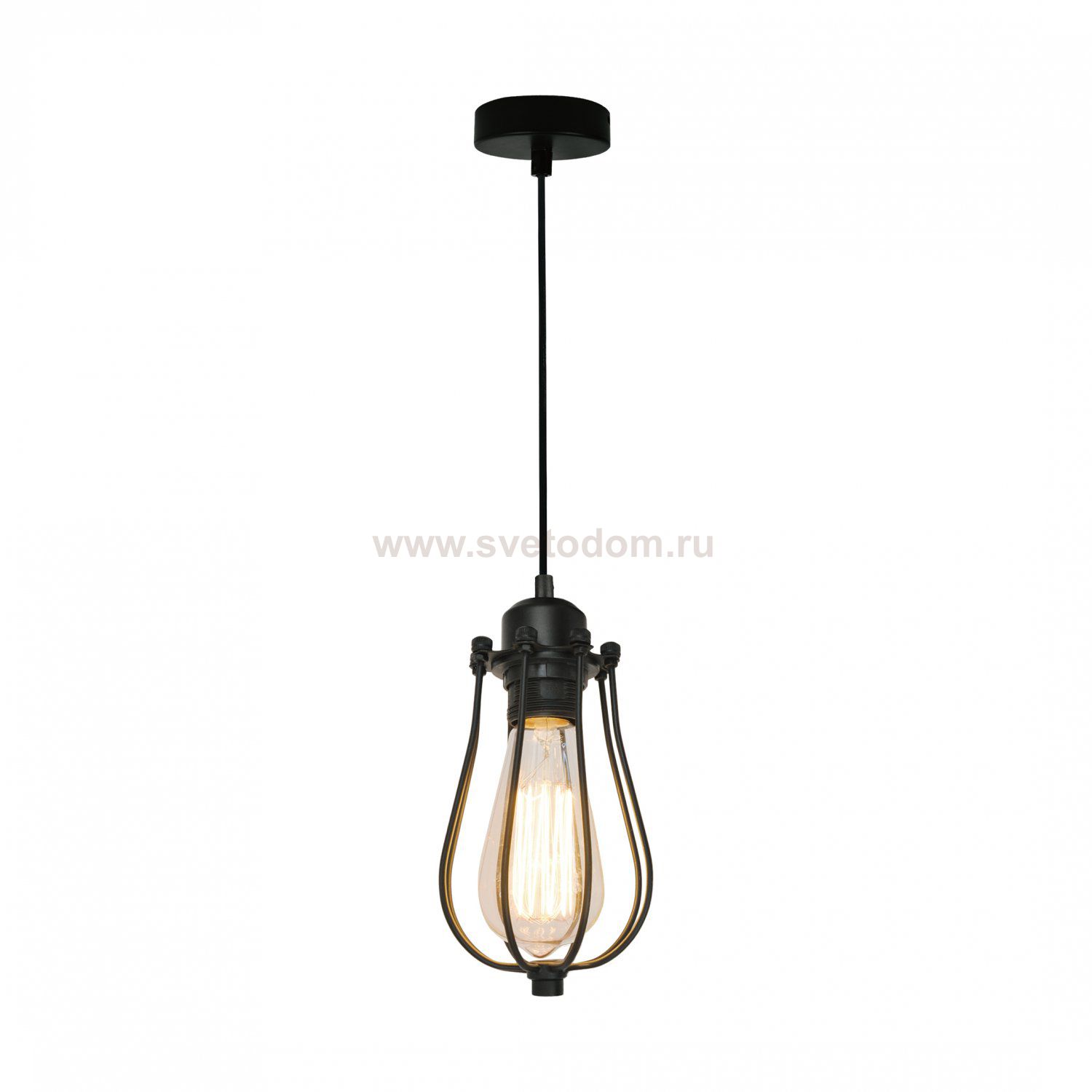 Светильник ZUMALINE HORTA P14030C