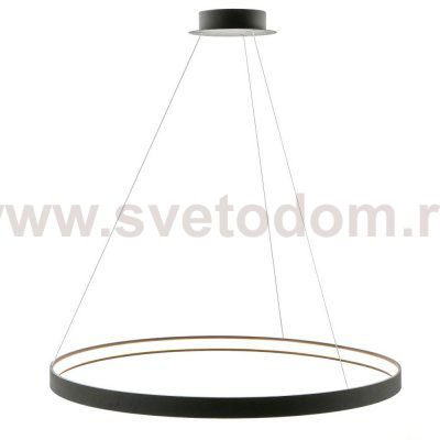 Светильник Zumaline LA0721/1-BK