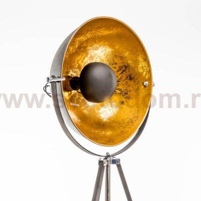 Торшер Zumaline ANTENNE TS-090522F-BKSI