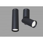 Потолочный светильник Maytoni C027CL-L10B Dafne