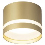 Светильник накладной Citilux CL002C12 Hardy