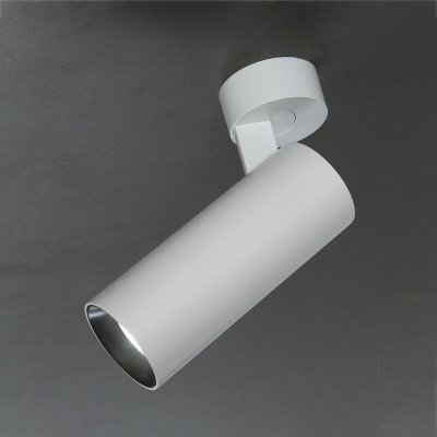 

Светильник накладной Citilux CL01B121N Тубус, CL01B121N