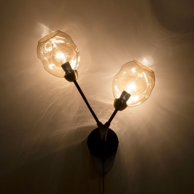 Светильник настенный бра Citilux CL117325 Монтана