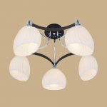 Люстра Citilux CL143151 Ирис