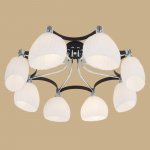 Люстра Citilux CL143181 Ирис