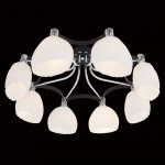 Люстра Citilux CL143181 Ирис