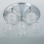 Люстра потолочная со светодиодной подсветкой Citilux CL158162 Самба