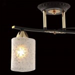 Люстра Citilux CL166121 Мотив