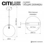 Citilux CL202021