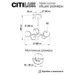 Люстра на штанге Citilux CL212153 TONGA