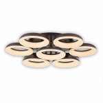 Люстра потолочная Citilux CL225195R Паркер