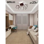 Citilux CL229165