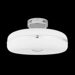 Светильник настенно-потолочный Citilux cl250001 Торус