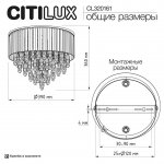 Citilux CL320161