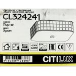 Светильник настенно-потолочный Citilux CL324241 Портал