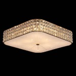 Светильник настенно-потолочный Citilux CL324242 Портал