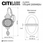 Citilux CL419315