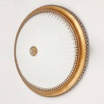 Светильник настенно-потолочный Citilux CL425502 Тренди-2