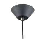 Светильник подвесной Citilux CL450210 Эдисон