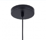 Подвесной светильник Citilux CL450213 Эдисон