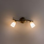 Светильник поворотный спот Citilux CL501523 Белла