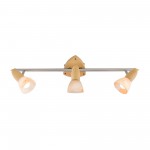 Светильник поворотный спот Citilux CL505531 Монте