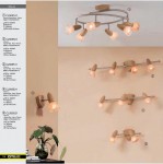 Светильник поворотный спот Citilux CL505531 Монте