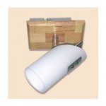 Светильник спот Citilux CL509511