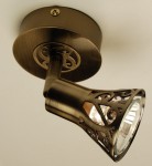 Светильник поворотный спот Citilux CL519513 Винон