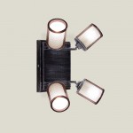 Светильник настенно-потолочный Citilux CL535541 Робин