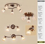 Светильник настенно-потолочный Citilux CL539511 Виндзор